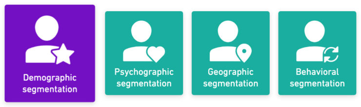 Demographic Segmentation Defined With 5 Examples - Yieldify